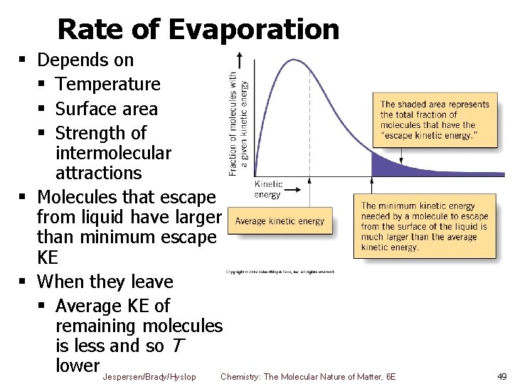 Rate of Evaporation § Depends on § Temperature § Surface area § Strength of