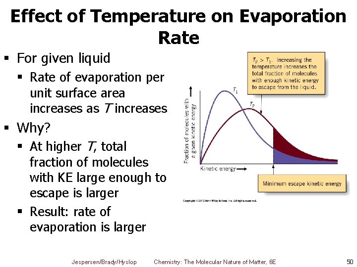 Effect of Temperature on Evaporation Rate § For given liquid § Rate of evaporation