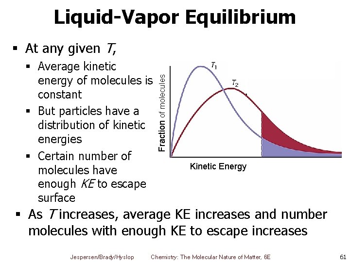 Liquid-Vapor Equilibrium § Average kinetic energy of molecules is constant § But particles have