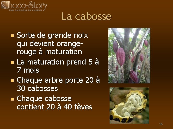 La cabosse n n Sorte de grande noix qui devient orangerouge à maturation La