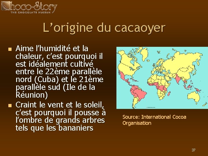 L’origine du cacaoyer n n Aime l’humidité et la chaleur, c’est pourquoi il est