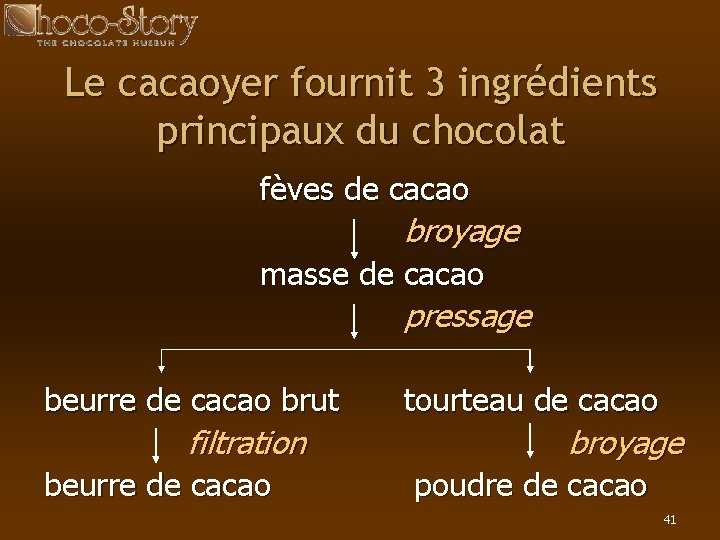 Le cacaoyer fournit 3 ingrédients principaux du chocolat fèves de cacao broyage masse de