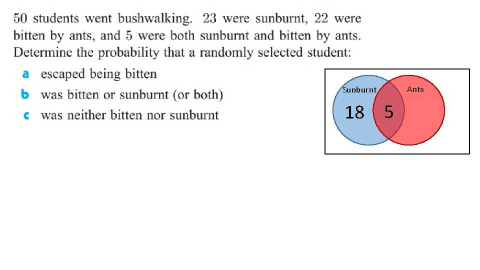 Sunburnt 18 5 Ants 