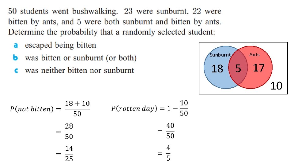 Sunburnt Ants 18 5 17 10 