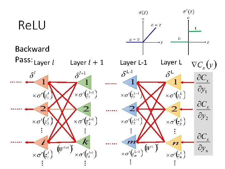 Re. LU Backward Pass: Layer L-1 …… …… … … … …… Layer L