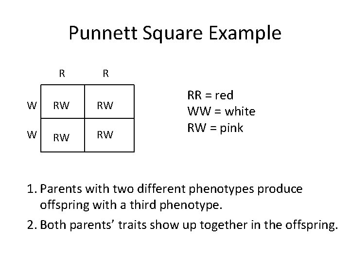 Punnett Square Example R R W RW RW RR = red WW = white