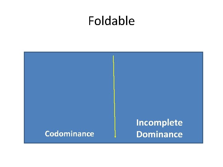 Foldable Codominance Incomplete Dominance 