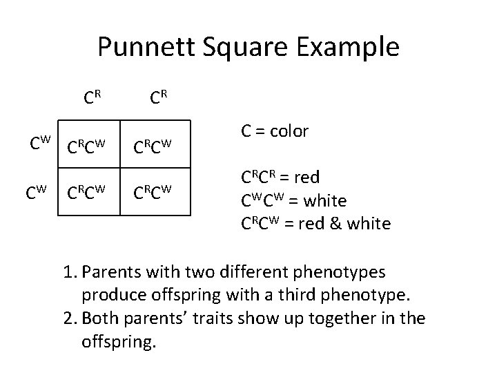 Punnett Square Example CR CW CW CR CR CW C = color CRCR =
