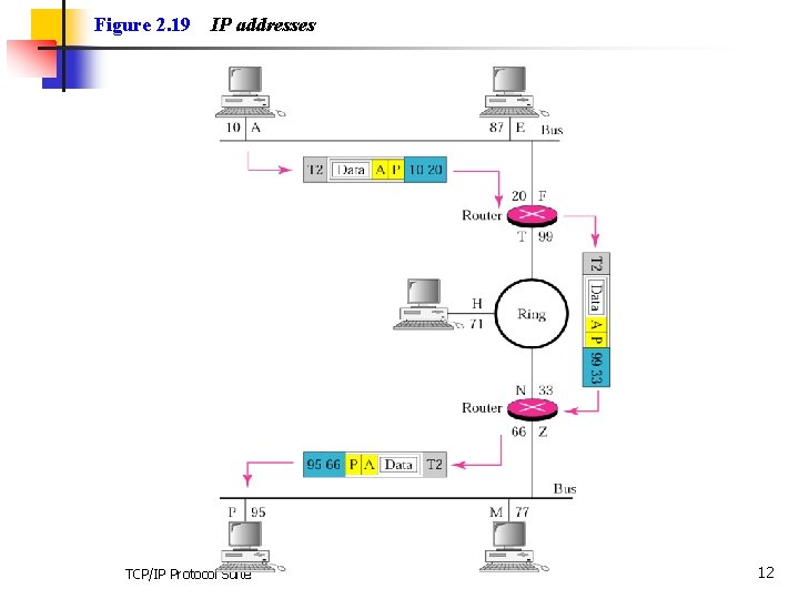 Figure 2. 19 IP addresses TCP/IP Protocol Suite 12 