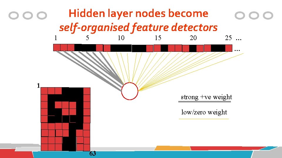 1 Hidden layer nodes become self-organised feature detectors 5 10 15 20 25 …