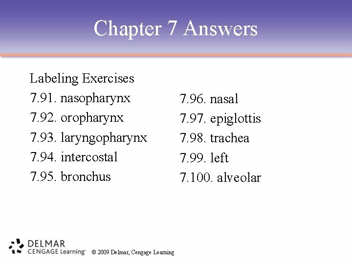 Chapter 7 Answers Labeling Exercises 7. 91. nasopharynx 7. 92. oropharynx 7. 93. laryngopharynx