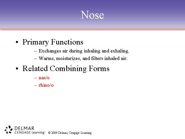 Nose • Primary Functions – Exchanges air during inhaling and exhaling. – Warms, moisturizes,