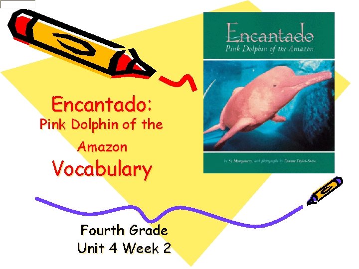 Encantado: Pink Dolphin of the Amazon Vocabulary Fourth Grade Unit 4 Week 2 