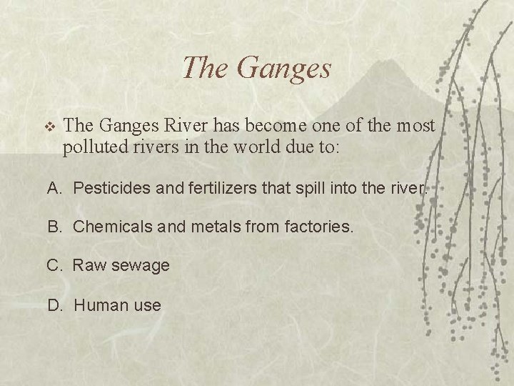 The Ganges v The Ganges River has become one of the most polluted rivers