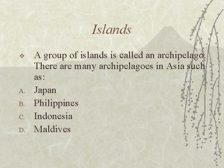 Islands v A. B. C. D. A group of islands is called an archipelago.