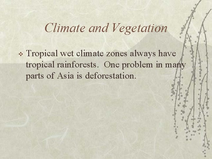 Climate and Vegetation v Tropical wet climate zones always have tropical rainforests. One problem