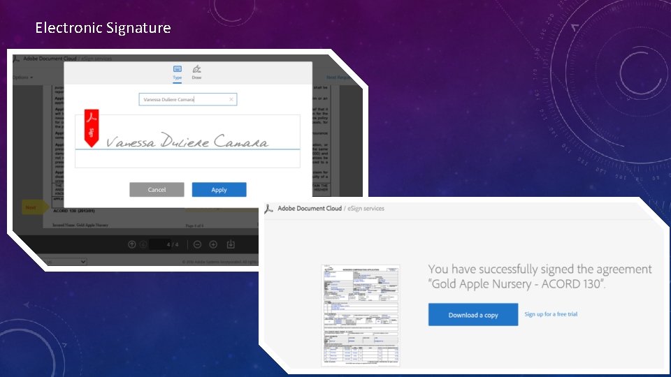 Electronic Signature 
