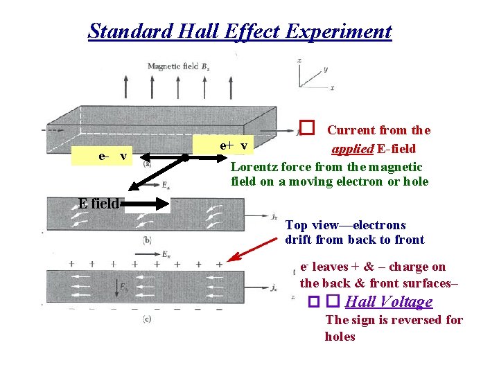 Standard Hall Effect Experiment � e- v Current from the e+ v applied E-field