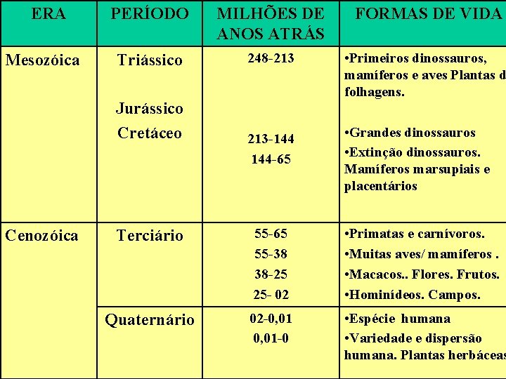ERA Mesozóica PERÍODO MILHÕES DE ANOS ATRÁS FORMAS DE VIDA Triássico 248 -213 •