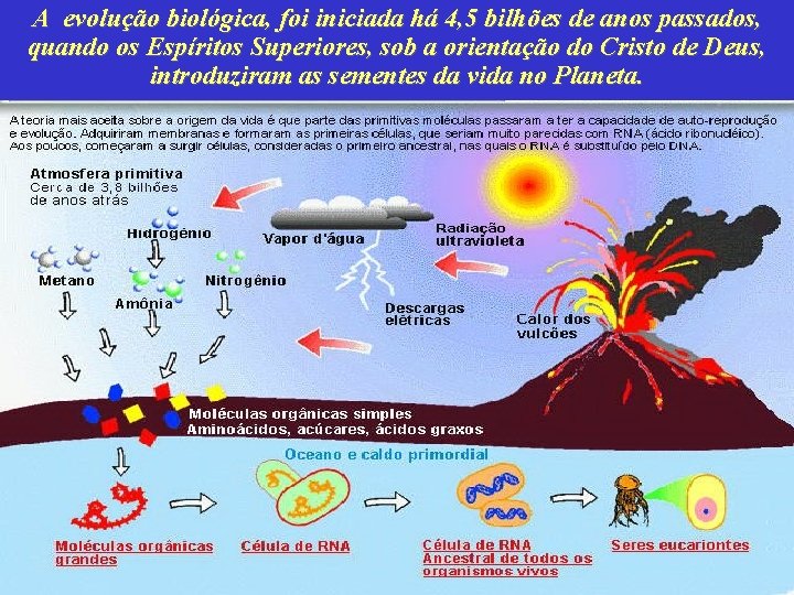 A evolução biológica, foi iniciada há 4, 5 bilhões de anos passados, quando os