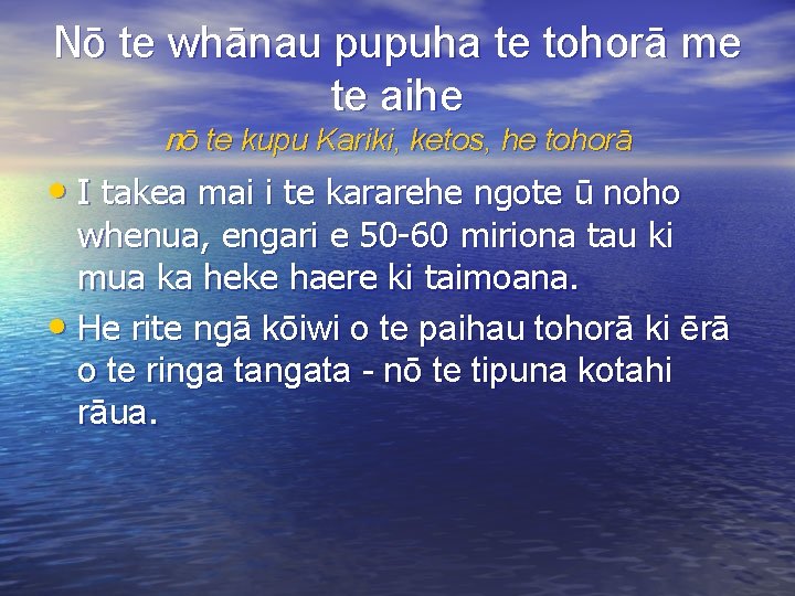 Nō te whānau pupuha te tohorā me te aihe nō te kupu Kariki, ketos,