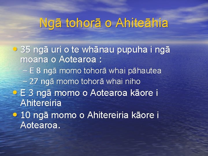 Ngā tohorā o Ahiteāhia • 35 ngā uri o te whānau pupuha i ngā