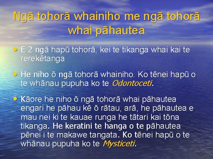 Ngā tohorā whainiho me ngā tohorā whai pāhautea • E 2 ngā hapū tohorā,