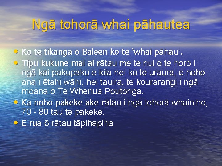 Ngā tohorā whai pāhautea • Ko te tikanga o Baleen ko te ‘whai pāhau’.