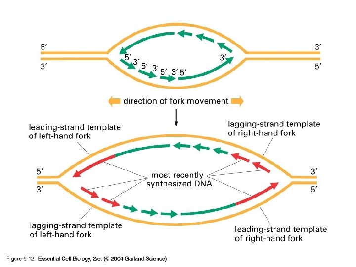 06_12_asymmetrical. jpg 