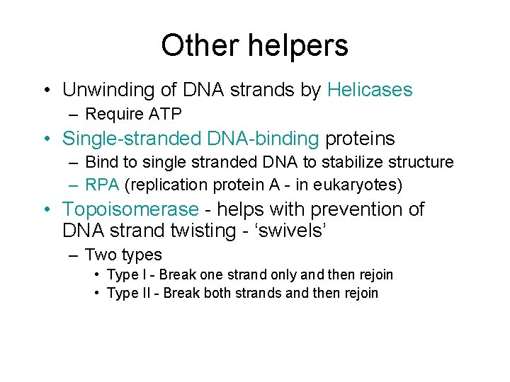 Other helpers • Unwinding of DNA strands by Helicases – Require ATP • Single-stranded