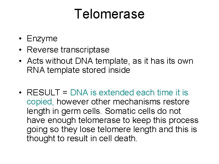 Telomerase • Enzyme • Reverse transcriptase • Acts without DNA template, as it has