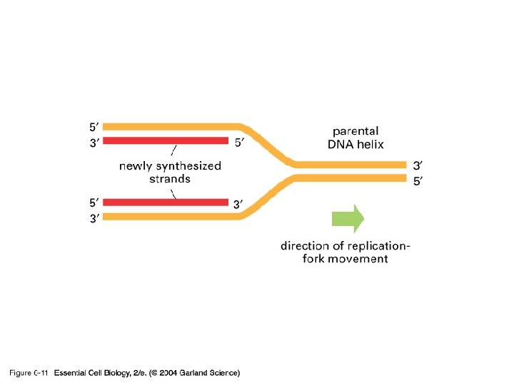 06_11_oppositepolarity. jpg 