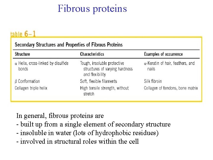 Fibrous proteins In general, fibrous proteins are - built up from a single element