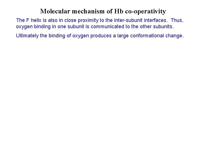 Molecular mechanism of Hb co-operativity The F helix is also in close proximity to