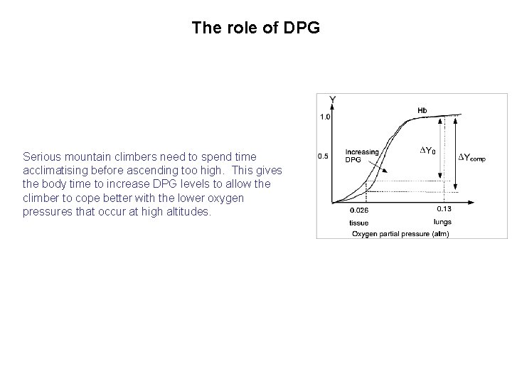 The role of DPG Serious mountain climbers need to spend time acclimatising before ascending