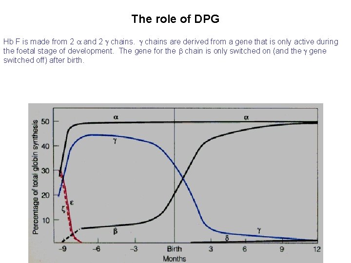 The role of DPG Hb F is made from 2 and 2 chains are