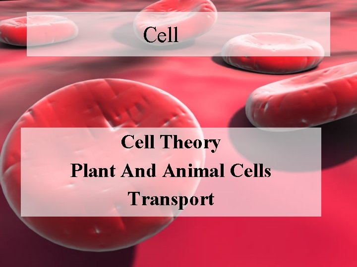 Cell Theory Plant And Animal Cells Transport 