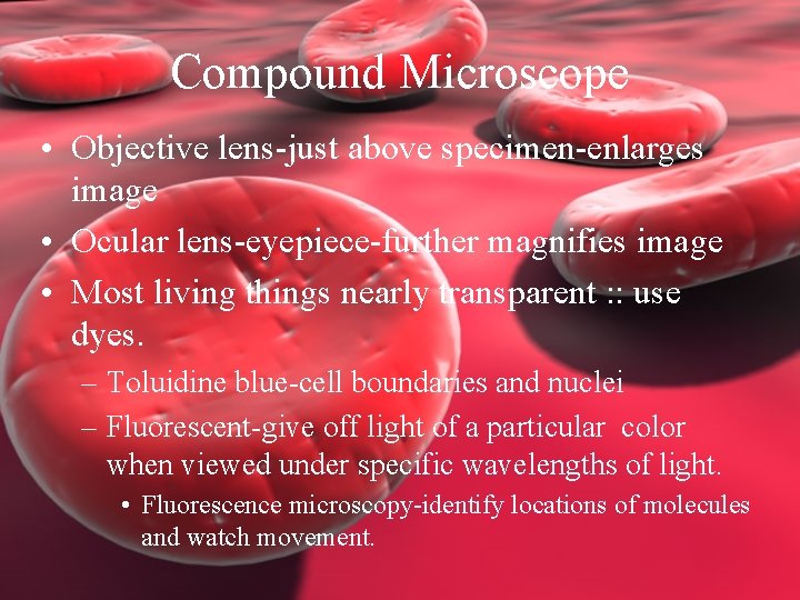 Compound Microscope • Objective lens-just above specimen-enlarges image • Ocular lens-eyepiece-further magnifies image •