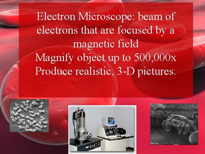 Electron Microscope: beam of electrons that are focused by a magnetic field Magnify object