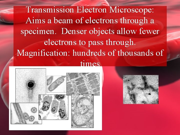 Transmission Electron Microscope: Aims a beam of electrons through a specimen. Denser objects allow