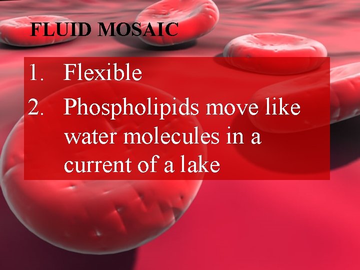 FLUID MOSAIC 1. Flexible 2. Phospholipids move like water molecules in a current of