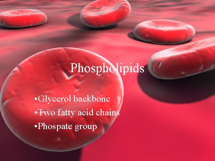 Phospholipids • Glycerol backbone • Two fatty acid chains • Phospate group 