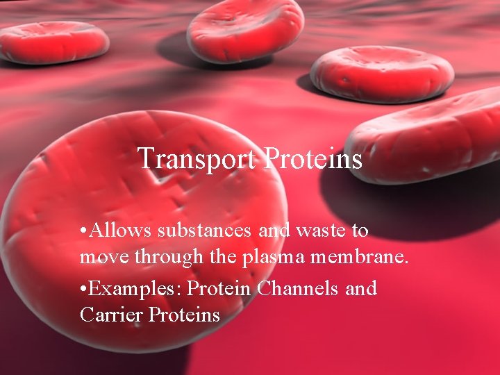 Transport Proteins • Allows substances and waste to move through the plasma membrane. •