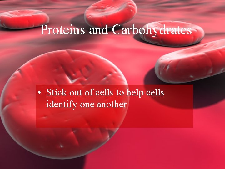 Proteins and Carbohydrates • Stick out of cells to help cells identify one another