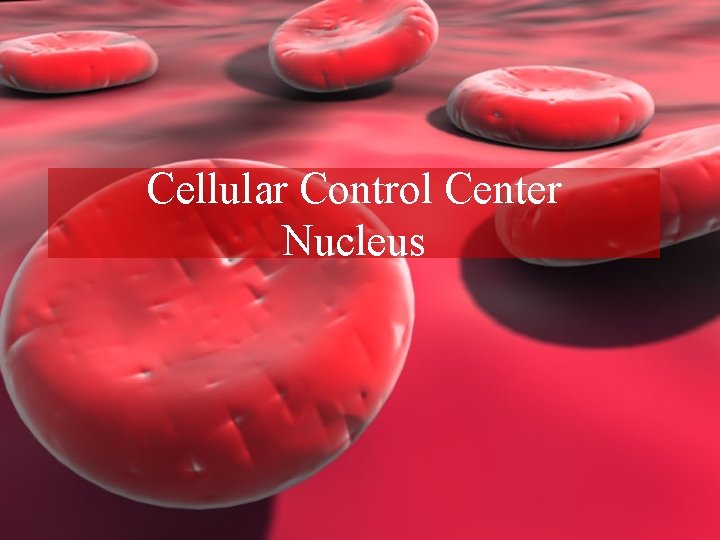 Cellular Control Center Nucleus 