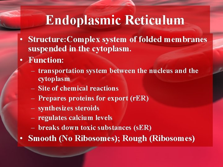 Endoplasmic Reticulum • Structure: Complex system of folded membranes suspended in the cytoplasm. •