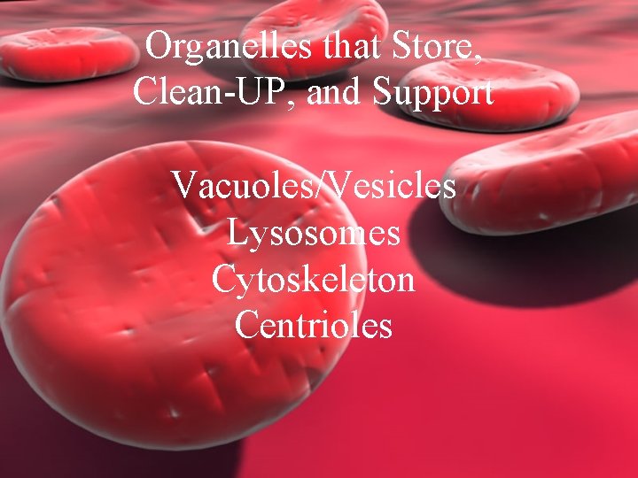 Organelles that Store, Clean-UP, and Support Vacuoles/Vesicles Lysosomes Cytoskeleton Centrioles 