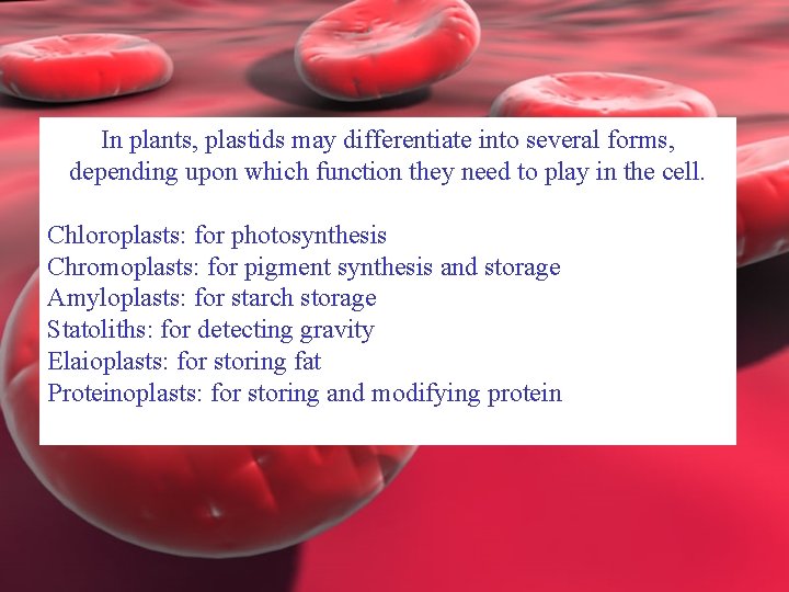 In plants, plastids may differentiate into several forms, depending upon which function they need