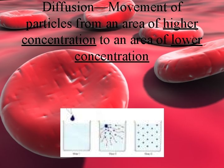 Diffusion—Movement of particles from an area of higher concentration to an area of lower