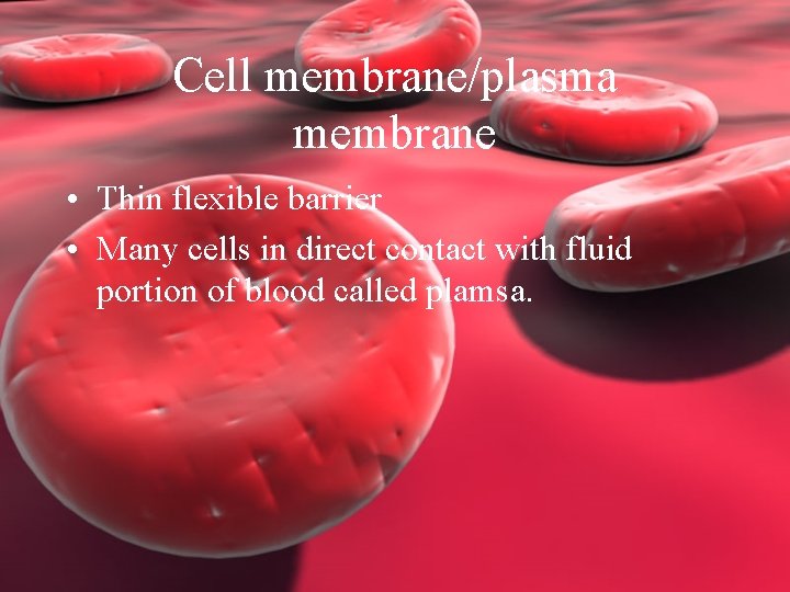 Cell membrane/plasma membrane • Thin flexible barrier • Many cells in direct contact with